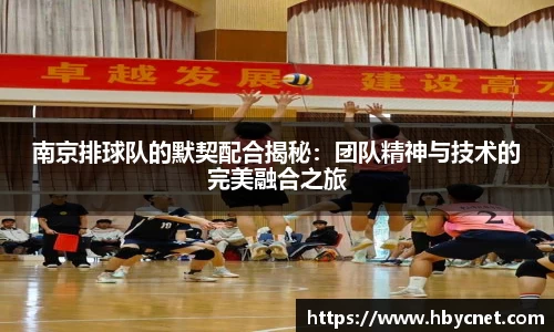 南京排球队的默契配合揭秘：团队精神与技术的完美融合之旅
